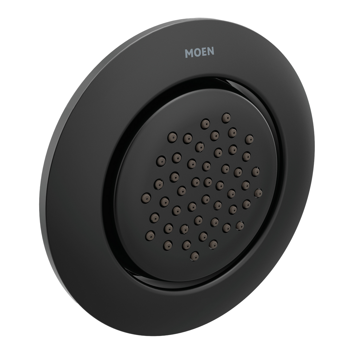Moen TS1322BL Mosaic Matte Black Body Spray